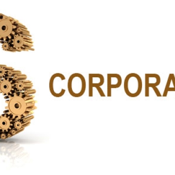 s corporation